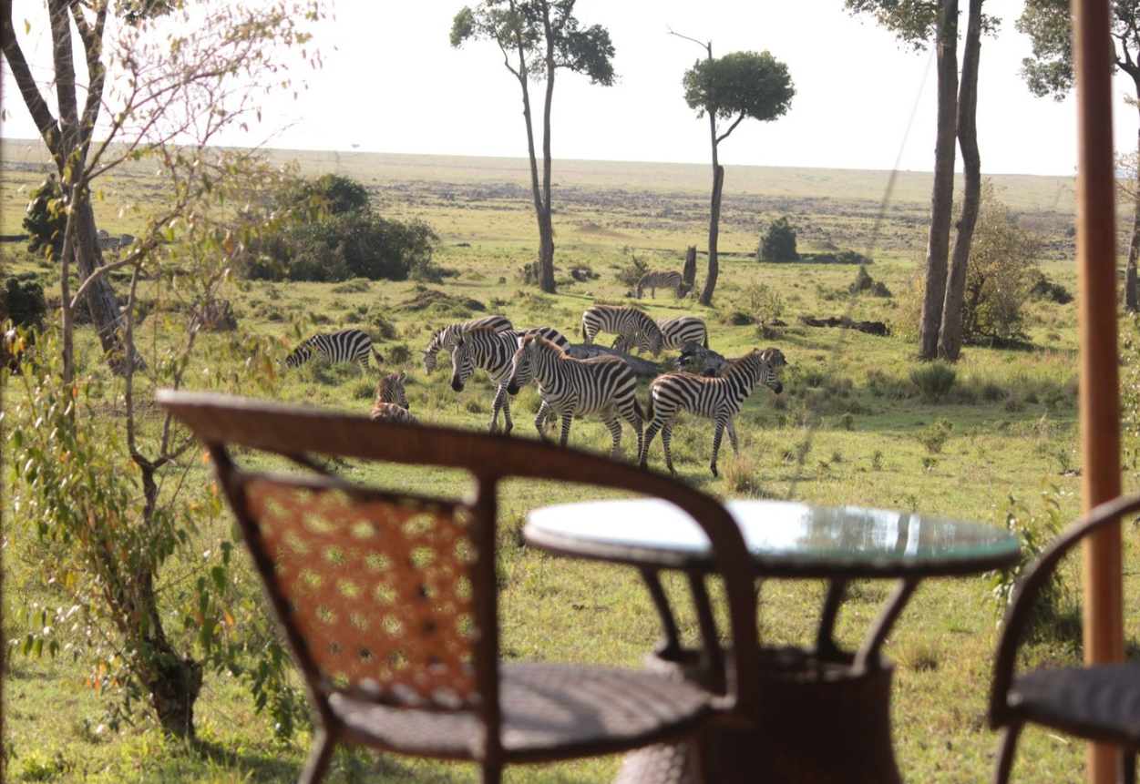 Enkusero Mara thumbnail 5